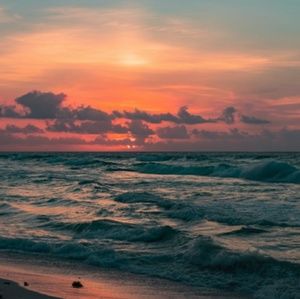 Meet your Posher, Aspen